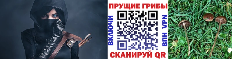 Галлюциногенные грибы Cubensis  где продают   Салехард 